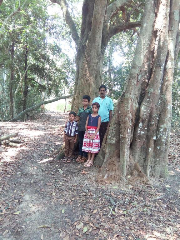 Wayanad Homestay Mananthavady Esterno foto